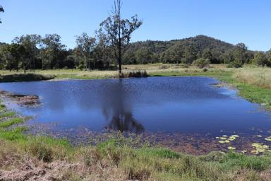 Acreage/Semi-rural For Sale - QLD - Gunalda - 4570 - EASY CARE ACRES  (Image 2)