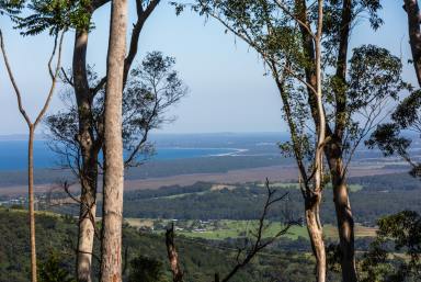 Lifestyle For Sale - NSW - Broughton Vale - 2535 - 'Fernbrook' - Absolute Privacy, Tranquility and Modern Living (Image 2)