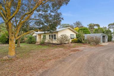 Lifestyle For Sale - VIC - Mannibadar - 3360 - Charming 4-Bedroom Property on 3.5 Acres  (Image 2)