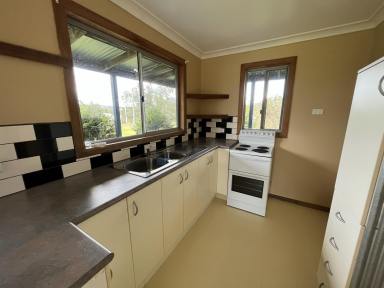 Acreage/Semi-rural For Lease - NSW - Kungala - 2460 - CUTE COUNTRYSIDE COTTAGE  (Image 2)