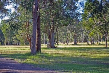 House For Lease - NSW - Upper Lansdowne - 2430 - For The Horse Lovers  (Image 2)