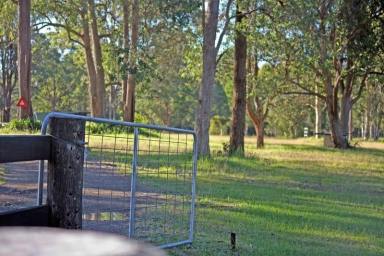 House For Lease - NSW - Upper Lansdowne - 2430 - For The Horse Lovers  (Image 2)