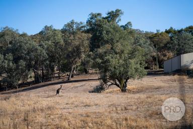 Residential Block For Sale - NSW - Hamilton Valley - 2641 - DA APPROVED RESIDENTIAL LAND DEVELOPMENT  (Image 2)