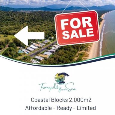 Residential Block For Sale - QLD - Bramston Beach - 4871 - Land for Sale: 4 Lots x 2000m2 at 11 Armanasco Rd, Bramston Beach QLD 4871 (Image 2)