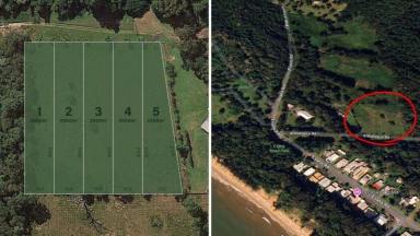 Residential Block For Sale - QLD - Bramston Beach - 4871 - Land for Sale: 5 blocks (Lot 2 sold) x 2000m2 at 11 Armanasco Rd, Bramston Beach QLD 4871  (Image 2)