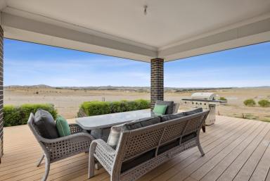 Acreage/Semi-rural Auction - NSW - Marchmont - 2582 - A Perfect Blend of Comfort, Space, and Rural Living in Yass  (Image 2)