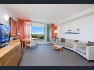 Unit For Lease - QLD - Pelican Waters - 4551 - Temporary Studio Accommodation Pelican Waters Caloundra  (Image 2)
