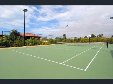 Unit For Lease - QLD - Pelican Waters - 4551 - Temporary Studio Accommodation Pelican Waters Caloundra  (Image 2)