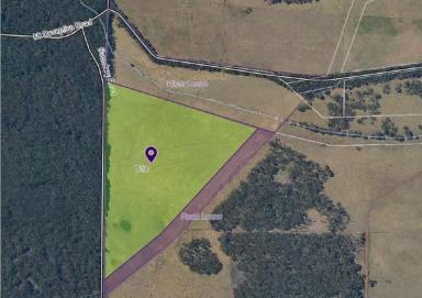 Residential Block For Sale - VIC - Drumborg - 3304 - Quality Grazing Land  (Image 2)