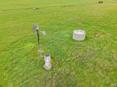 Residential Block For Sale - VIC - Drumborg - 3304 - Quality Grazing Land  (Image 2)