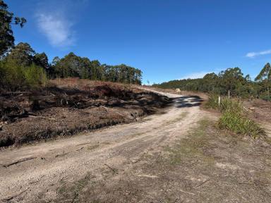 Residential Block For Sale - TAS - Holwell - 7275 - Unique Opportunity!  (Image 2)