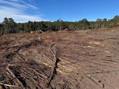 Residential Block For Sale - TAS - Holwell - 7275 - Unique Opportunity!  (Image 2)