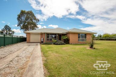 House For Sale - NSW - Deepwater - 2371 - Brick Home On a Versatile Flat Block  (Image 2)