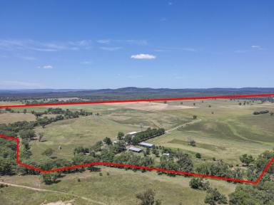 Mixed Farming For Sale - NSW - Neilrex - 2831 - A Beautiful Place to call home....  (Image 2)