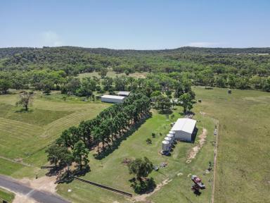 Mixed Farming For Sale - NSW - Neilrex - 2831 - A Beautiful Place to call home....  (Image 2)