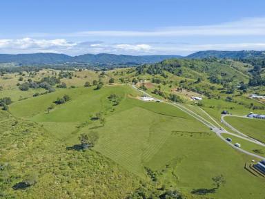 Residential Block For Sale - QLD - King Scrub - 4521 - 6 Acres - Ready To Build  (Image 2)