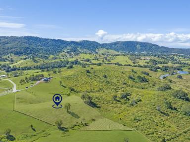 Residential Block For Sale - QLD - King Scrub - 4521 - 6 Acres - Ready To Build  (Image 2)