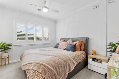 House For Sale - NSW - Temora - 2666 - Your Dream Family Home Awaits  (Image 2)