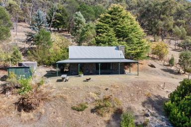 Lifestyle For Sale - VIC - Tallarook - 3659 - Escape to the countryside in Tallarook!  (Image 2)
