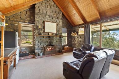 Lifestyle For Sale - VIC - Tallarook - 3659 - Escape to the countryside in Tallarook!  (Image 2)