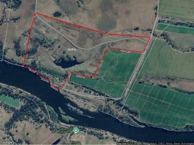 Other (Rural) For Sale - QLD - South Kolan - 4670 - 51 HECTARE MULCH FARM WITH HUGE STOCKPILES READY TO GO  (Image 2)