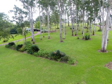 Acreage/Semi-rural For Sale - NSW - Bundook - 2422 - HOME AMONG THE GUM TREES  (Image 2)