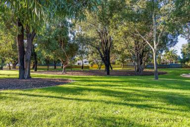 House Auction - WA - Duncraig - 6023 - Opposite Lovely Green Park  (Image 2)