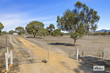 Farmlet For Sale - VIC - Moyston - 3377 - Picture perfect views and location  (Image 2)