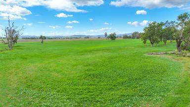 Mixed Farming Auction - NSW - Tamworth - 2340 - WATER, PRODUCTIVITY, LOCATION  (Image 2)