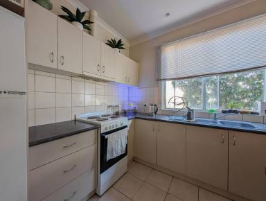 House For Sale - VIC - Boort - 3537 - Affordable/ Location  (Image 2)