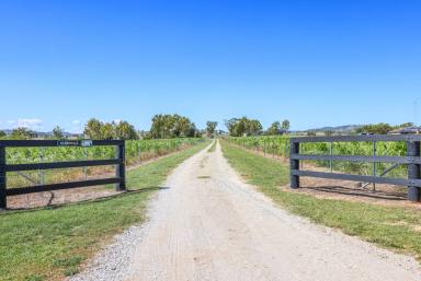 Lifestyle Auction - NSW - Manilla - 2346 - LOW MAINTENANCE LIFESTYLE PROPERTY - ALL THE WORK IS DONE  (Image 2)