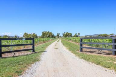 Lifestyle For Sale - NSW - Manilla - 2346 - LOW MAINTENANCE LIFESTYLE PROPERTY - ALL THE WORK IS DONE  (Image 2)