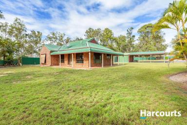 House For Sale - QLD - Redridge - 4660 - DID SOMEONE SAY SHED SPACE!!  (Image 2)