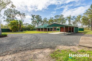 House For Sale - QLD - Redridge - 4660 - DID SOMEONE SAY SHED SPACE!!  (Image 2)