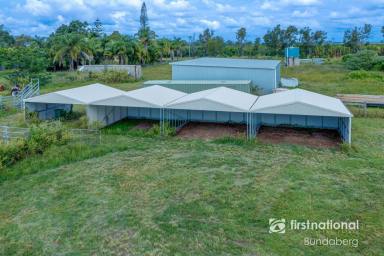 Lifestyle For Sale - QLD - Alloway - 4670 - HORSE HEAVEN, FAMILY RETREAT, AND FARM-READY – ALL IN ONE  (Image 2)
