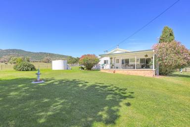 Lifestyle Auction - NSW - Moonbi - 2353 - COUNTRY COMFORT MEETS CONVENIENCE  (Image 2)