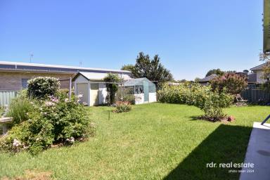 Residential Block For Sale - NSW - Inverell - 2360 - BLANK BLOCK, BIG POSSIBILITIES  (Image 2)