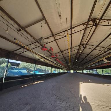 Commercial Farming For Sale - NSW - Mangrove Mountain - 2250 - Productive Rural Property with Dual Residences & Poultry Operation  (Image 2)