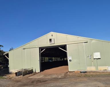 Commercial Farming For Sale - NSW - Mangrove Mountain - 2250 - Productive Rural Property with Dual Residences & Poultry Operation (Image 2)