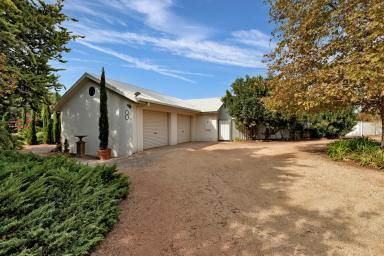 House Auction - VIC - Cabarita - 3505 - Spacious Dual-Living Home with Pool on 4104m2  (Image 2)