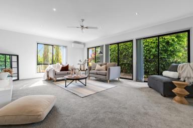 House Auction - VIC - Cabarita - 3505 - Spacious Dual-Living Home with Pool on 4104m2  (Image 2)