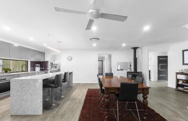 Lifestyle For Sale - NSW - Singleton - 2330 - Modern Family Retreat with Extensive Shedding  (Image 2)