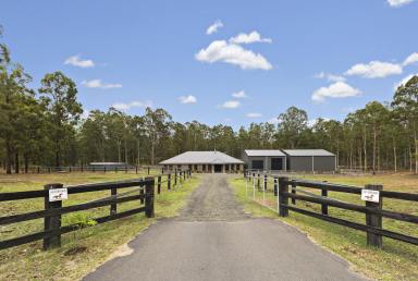 Lifestyle For Sale - NSW - Singleton - 2330 - Modern Family Retreat with Extensive Shedding  (Image 2)