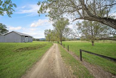 Lifestyle For Sale - NSW - Dungog - 2420 - Premium Riverfront Lifestyle Retreat - 130 Acres of Versatility & Charm  (Image 2)
