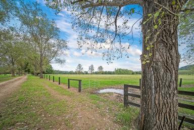 Lifestyle For Sale - NSW - Dungog - 2420 - Premium Riverfront Lifestyle Retreat - 130 Acres of Versatility & Charm  (Image 2)
