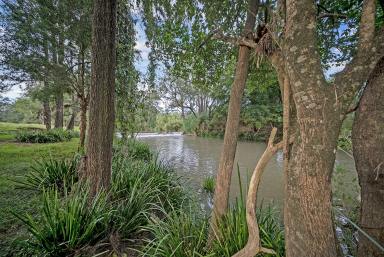 Lifestyle For Sale - NSW - Dungog - 2420 - Premium Riverfront Lifestyle Retreat (Image 2)