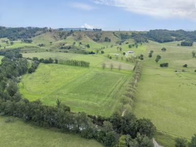 Lifestyle For Sale - NSW - Dungog - 2420 - Premium Riverfront Lifestyle Retreat (Image 2)