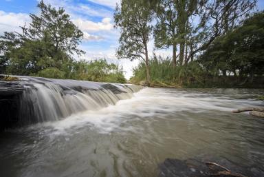 Lifestyle For Sale - NSW - Dungog - 2420 - Premium Riverfront Lifestyle Retreat - 130 Acres of Versatility & Charm  (Image 2)