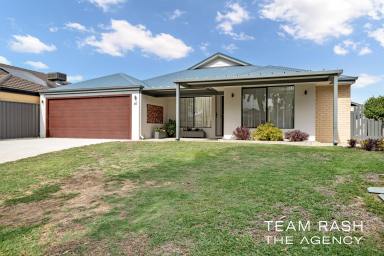 House For Sale - WA - Banksia Grove - 6031 - Modern Family Living  (Image 2)
