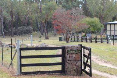 Acreage/Semi-rural For Sale - NSW - Inverell - 2360 - Country  Oasis Retreat on Acreage  (Image 2)